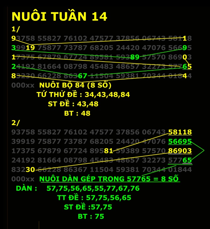 3C60FA96-C154-4FCC-A1DF-332C8ED51803.jpeg