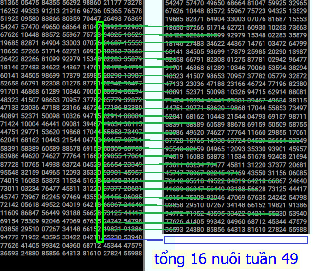 nuôi tuần 49-tổng 16.jpg